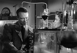 Сцена из фильма Мозг Донована / Donovan's Brain (1953) Мозг Донована сцена 2
