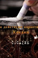 ВВС: Как действуют наркотики: Кокаин