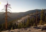 ТВ Национальные парки Америки. Йосемити / America's National Parks. Yosemite (2015) - cцена 6