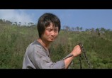 Сцена из фильма Обезьянье кунг-фу / Chu long ma liu (1979) Обезьянье кунг-фу сцена 6