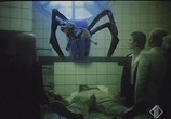 Сцена из фильма Гнездо пауков / Il nido del ragno (1988) Гнездо пауков сцена 17