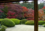 Сцена из фильма Осенний цвет Киото / Kyoto Autumn Color (2007) Осенний цвет Киото