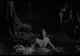Сцена из фильма Мыс страха / Cape Fear (1962) Мыс страха сцена 9