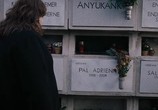 Сцена из фильма Пал Адриенн / Pál Adrienn (2010) Пал Адриенн сцена 9
