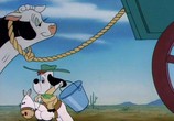 Сцена из фильма Друпи - коллекция / Tex Avery's Droopy: Collection (1946) Друпи - коллекция сцена 4
