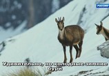 ТВ Кантабрия – волшебные горы Испании / Cantabria – Spain’s magical Mountains (2017) - cцена 9