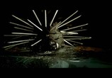 Сцена из фильма Slipknot - Videos (2009) 