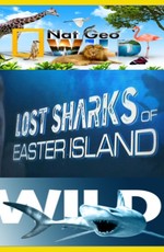 Потерянные акулы острова Пасхи