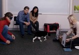 Сцена из фильма Кошки и собаки: кто лучше? / Cats v Dogs: Which Is Best? (2016) Кошки и собаки: кто лучше? сцена 4