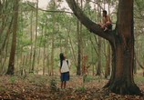 Сцена из фильма Лес / The Forest (2016) Лес сцена 4