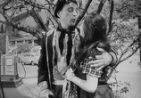Фильм Наша улица (1961) - cцена 1