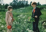 Фильм Веселое сновидение, или смех и слезы (1976) - cцена 3