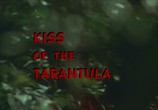 Сцена из фильма Поцелуй тарантула / Kiss of the Tarantula (1976) Поцелуй тарантула сцена 11