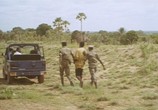 Сцена из фильма Самба Траоре / Samba Traoré (1992) Самба Траоре сцена 17