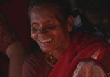 ТВ BBC: Смертоносные змеи Индии / BBC: One Million Snake Bites (2011) - cцена 6