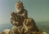 Сцена из фильма Пегий пес, бегущий краем моря  (1993) 