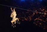 Сцена из фильма Цирк солнца: Кортеж / Cirque Du Soleil: Corteo (2006) Цирк солнца: Кортеж сцена 3