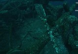 Сцена из фильма Джереми Уэйд: Тайны океана / Mysteries of the Deep (2020) Джереми Уэйд: Тайны океана сцена 5
