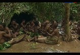 Сцена из фильма Жизнь по законам джунглей. Камерун / The Last Hunters in Cameroon (2013) Жизнь по законам джунглей. Камерун сцена 1