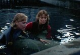 Сцена из фильма Челюсти 3 / Jaws 3 (1983) Челюсти 3 сцена 5
