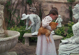 Сцена из фильма Возвращение в страну Оз / Return to Oz (1985) 