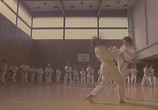 Сцена из фильма Многообещающий парень / Decko koji obecava (1981) Многообещающий парень сцена 3