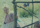 Сцена из фильма Шельменко-денщик (1971) Шельменко-денщик сцена 2