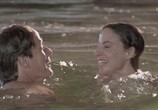 Сцена из фильма В лесном озере / In the Lake of the Woods (1996) В лесном озере сцена 8