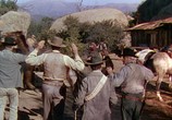 Сцена из фильма Дуэль на Силвер-Крик / The Duel At Silver Creek (1952) Дуэль на Силвер-Крик сцена 8