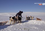 Сцена из фильма Тайны Арктики / Arсtic Secrets (2016) Тайны Арктики сцена 7