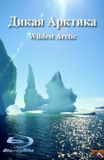 Animal Planet: Дикая Арктика
