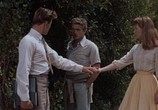 Фильм К востоку от рая / East of Eden (1955) - cцена 2