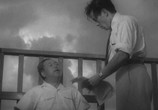 Сцена из фильма Бездомный Пёс / Nora Inu (1949) Бездомный Пёс сцена 3