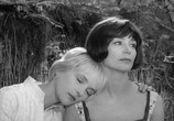 Сцена из фильма Тереза Дескейру / Thérèse Desqueyroux (1962) Тереза Дескейру сцена 6