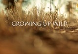 ТВ BBC. Как стать взрослым / Growing Up Wild (2016) - cцена 5