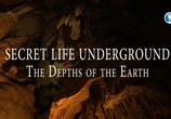 Сцена из фильма Тайны подземного мира / Secret Life Underground (2014) Тайны подземного мира сцена 7