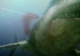 Сцена из фильма Токсичная акула / Toxic Shark (2017) Токсичная акула сцена 14