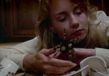 Сцена из фильма Кошмарные выходные / Nightmare Weekend (1986) Кошмарные выходные сцена 8