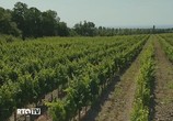 Сцена из фильма Традиции виноделия / Wine-Making Traditions (2010) 