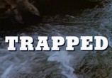 Сцена из фильма Попавшиеся / Trapped (1982) Попавшиеся сцена 1