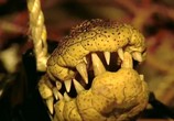 Сцена из фильма BBC: Вторжение крокодилов / BBC: Invasion Of The Crocodiles (2006) 