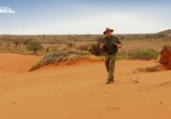 Сцена из фильма Дикая Австралия с Рэем Мирсом / Wild Australia with Ray Mears (2016) Дикая Австралия с Рэем Мирсом сцена 5
