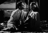 Фильм Падший ангел / Fallen Angel (1945) - cцена 2