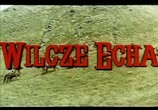 Сцена из фильма Волчье эхо / Wilcze echa (1968) Волчье эхо сцена 1