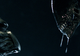 Сцена из фильма Чужой против Хищника / Alien vs. Predator (2004) Чужой против Хищника