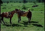 Фильм Королева скота из Монтаны / Cattle Queen Of Montana (1954) - cцена 4