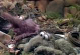 Сцена из фильма Гора Фрэгглов  / Fraggle Rock (1983) Скала Фрэгглов сцена 6