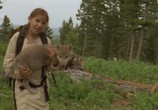 Сцена из фильма Волчье лето / Ulvesommer (2003) Волчье лето сцена 3