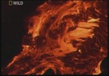 ТВ National Geographic: Самые страшные стихийные бедствия: Вулканы / Ultimate Disaster: Volcano (2007) - cцена 2