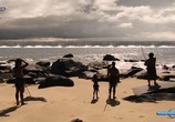 Сцена из фильма National Geographic: Древние мега-цунами / Ancient Mega Tsunami (2009) National Geographic: Древние мега-цунами сцена 5